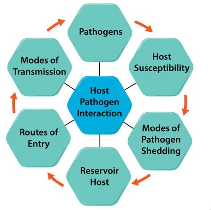 What factors of host susceptibility are related to the pathogen