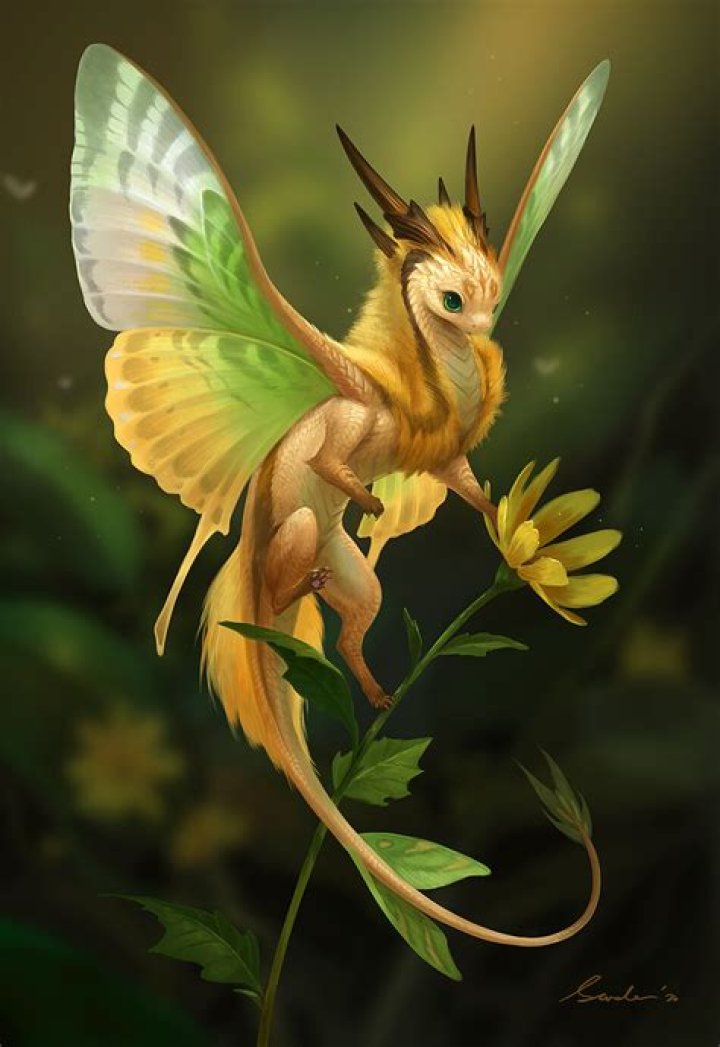 What fairytale has a dragon