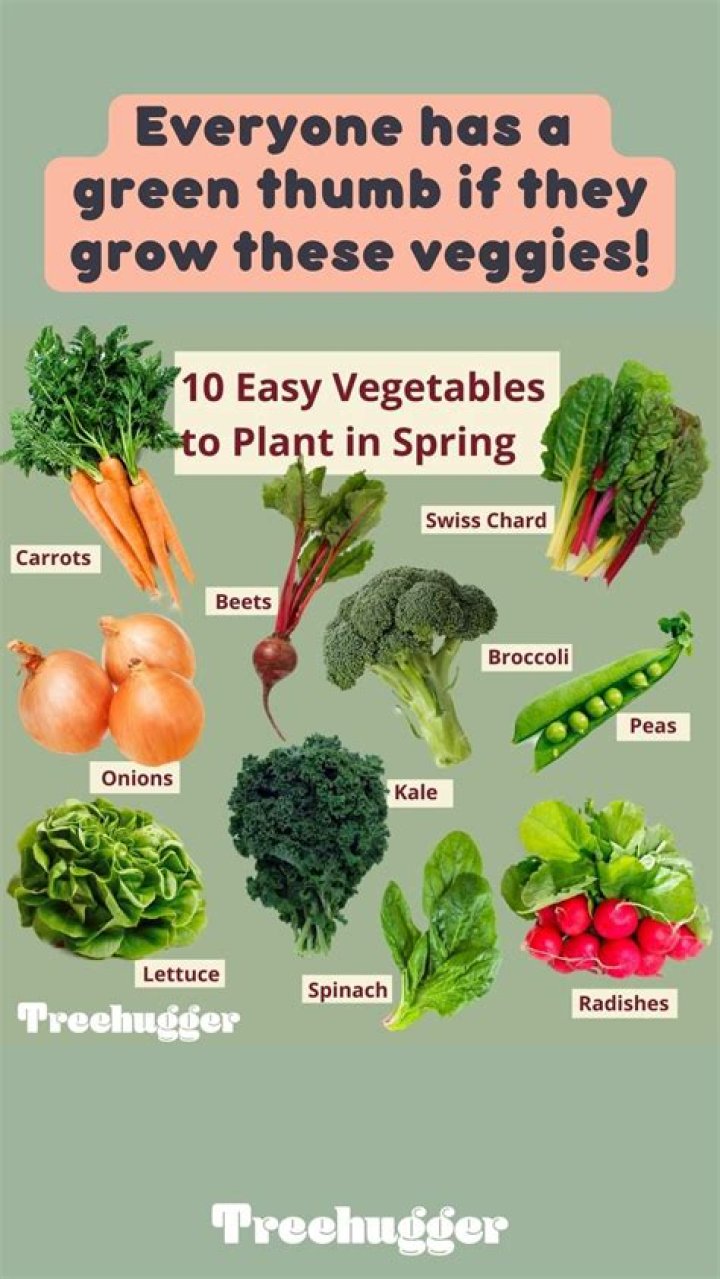 What fruit and vegetables can you plant in spring