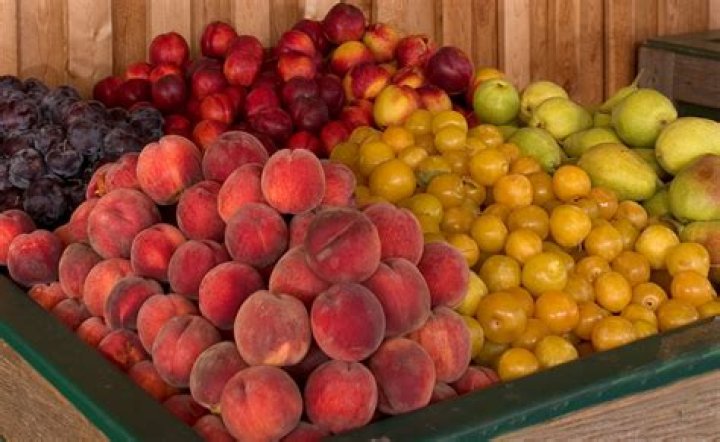 What fruits are grown in BC