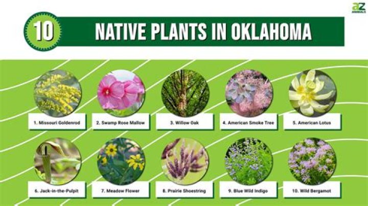 What grows well in Oklahoma