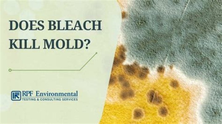 What happens if you put bleach on black mold