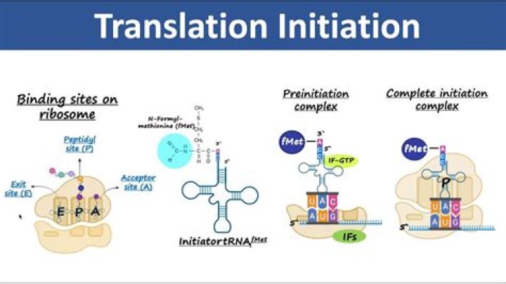 What happens on initiation