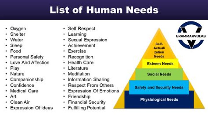 What human body needs daily