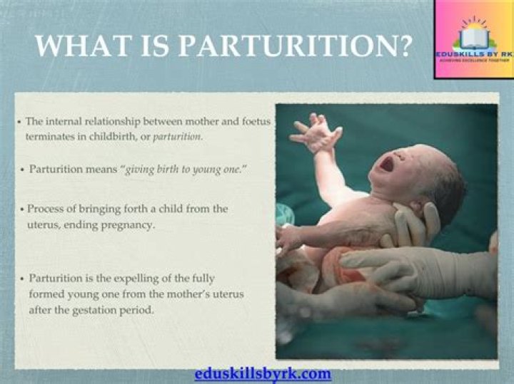 What initiates parturition