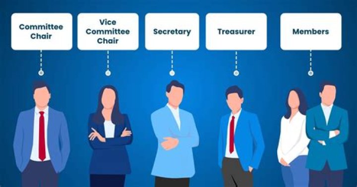 What is a Carey committee