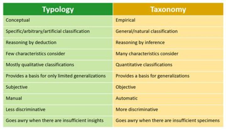 What is a culture typology