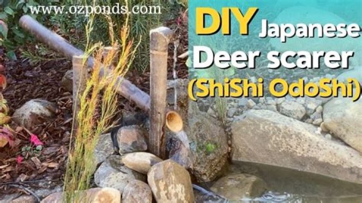 What is a deer scarer