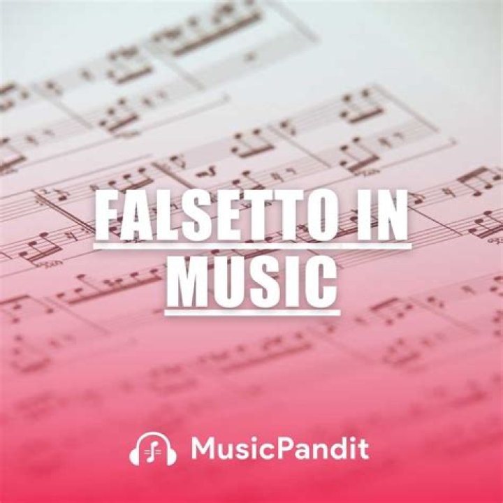 What is a falsetto in music