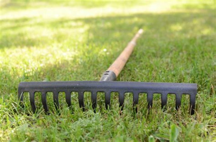 What is a landscape rake