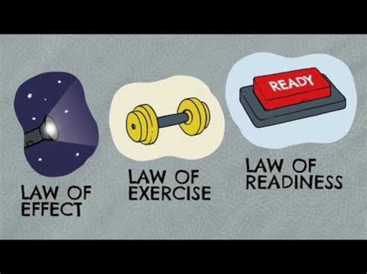 What is a law of readiness