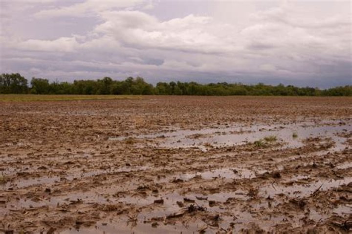 What is a leaching area
