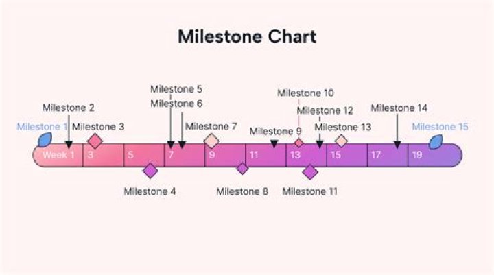 What is a Level 1 milestone