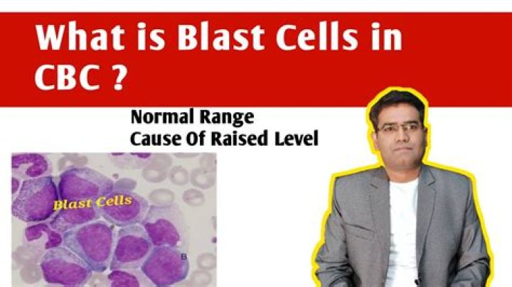 What is a normal blast cell count