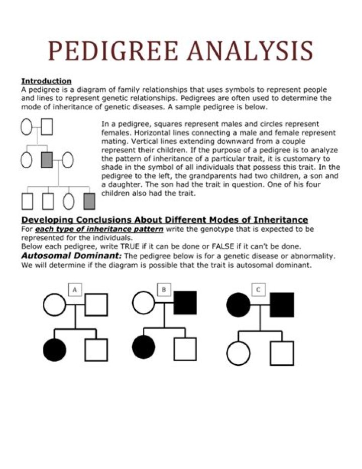 What is a pedigree used for