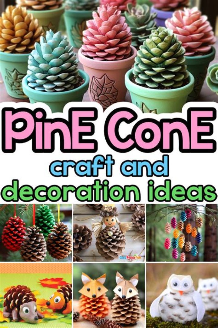 What is a pine cone made of