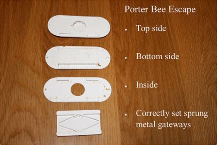 What is a Porter bee escape