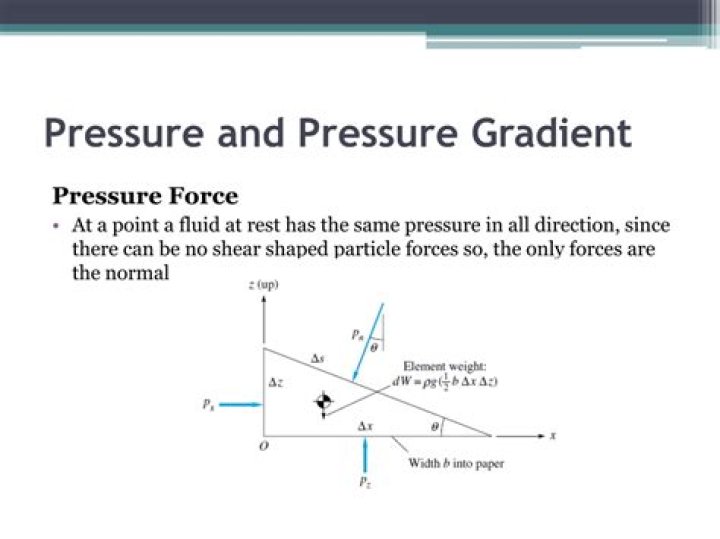 What is a pressure gradient in anatomy