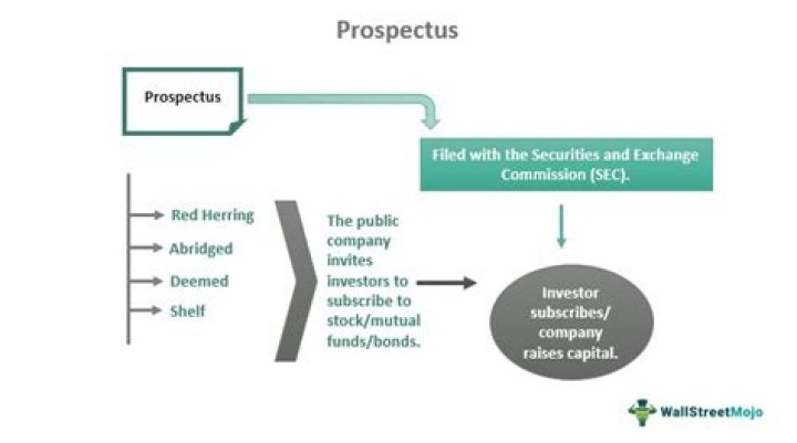 What is a prospectus in law