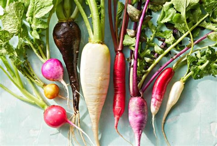 What is a radish considered