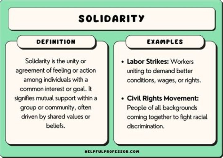 What is a solidarity strike
