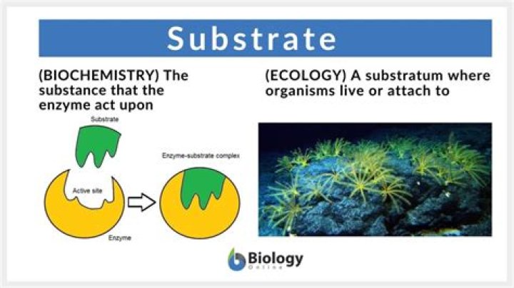 What is a substrate science