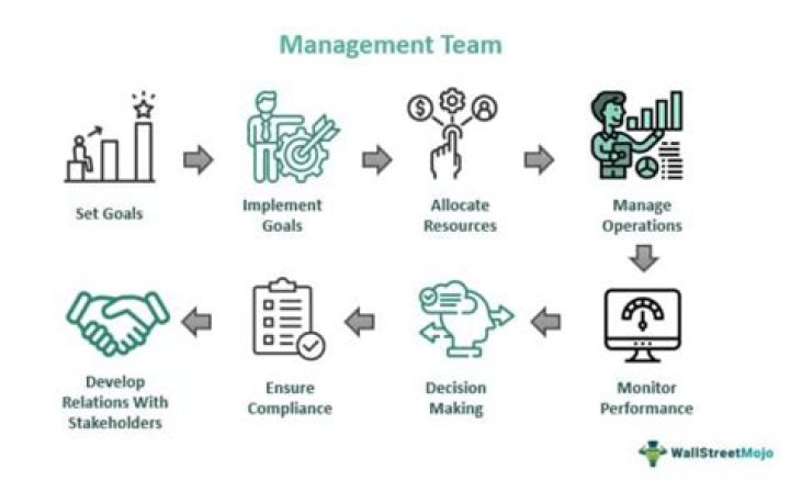 What is a team organization