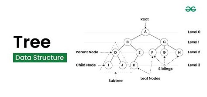What is a tree like diagram