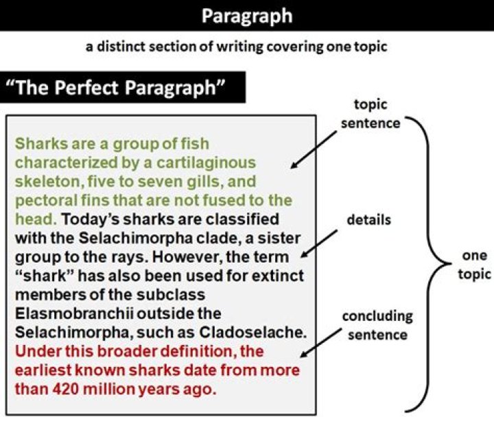 What is a typical paragraph