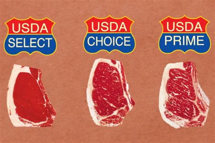 What is a USDA grade in pork