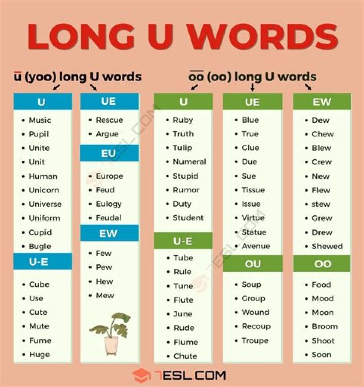 What is a word with long U