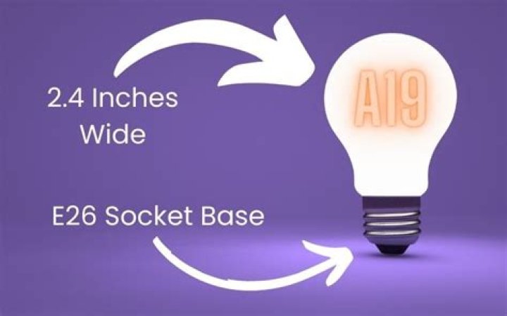 What is a19 socket