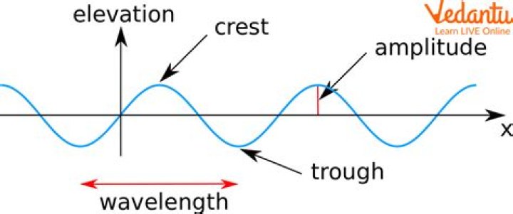 What is amplitude in science