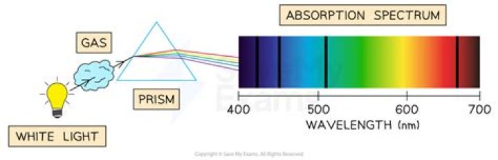 What is an absorption field
