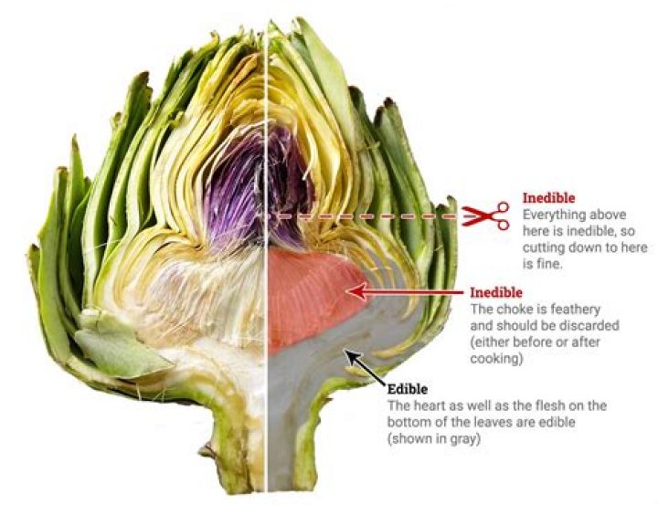What is an artichoke heart