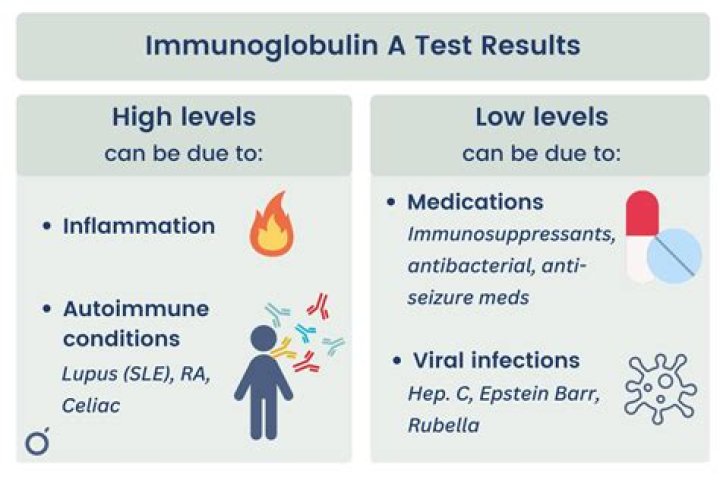 What is an autoimmune test