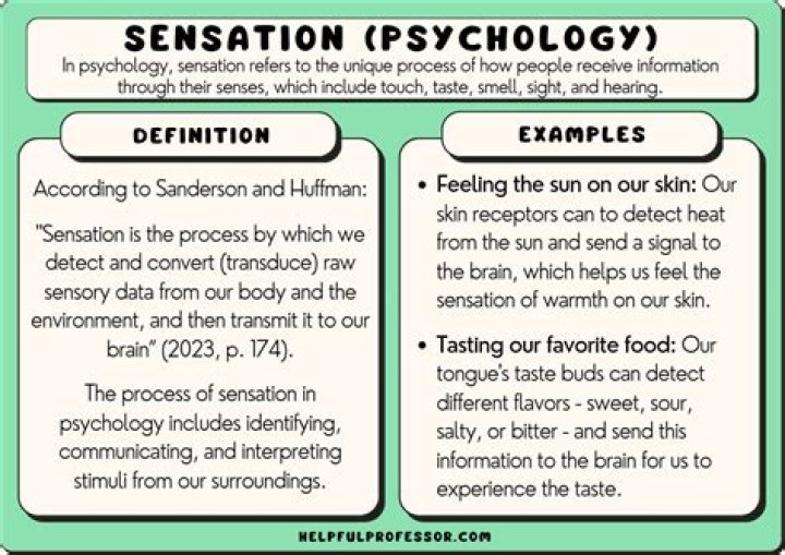 What is an example of focus