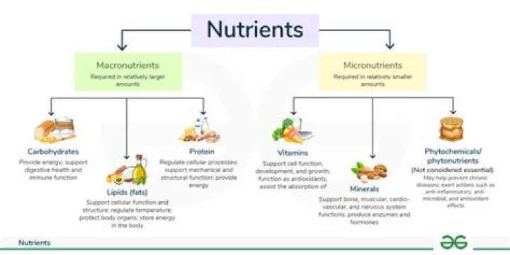 What is an imbalance or deficiency of micronutrients called
