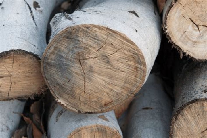 What is aspen wood good for