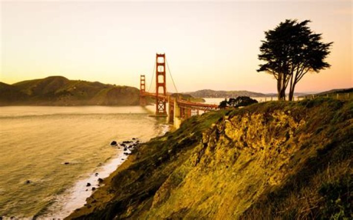 What is bay area famous for