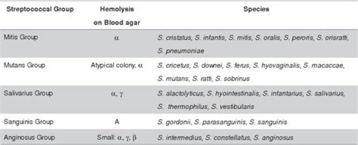 What is Beta Strep Group A