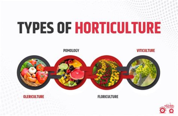 What is called horticulture