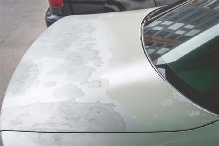 What is car paint oxidation