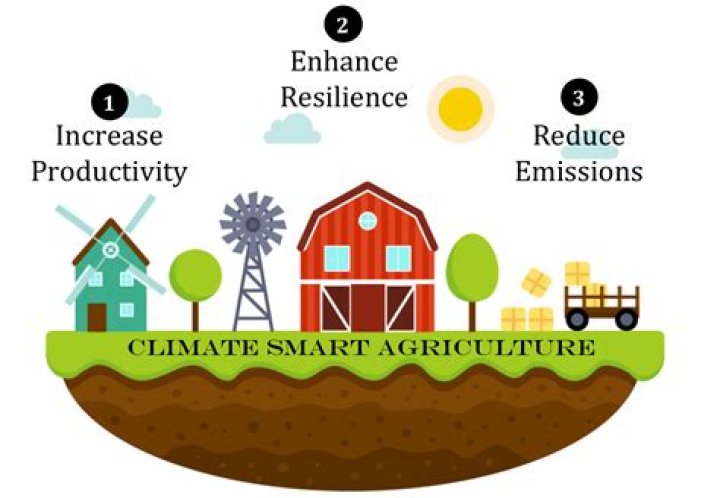 What is climate agriculture
