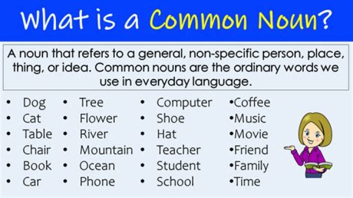 What is common noun and EG