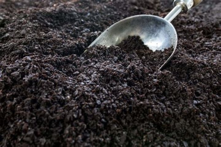 What is composted pine bark