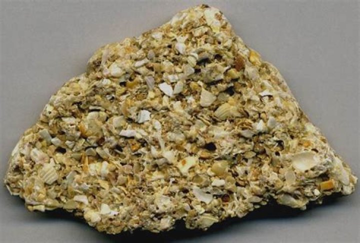 What is coquina and why is it important