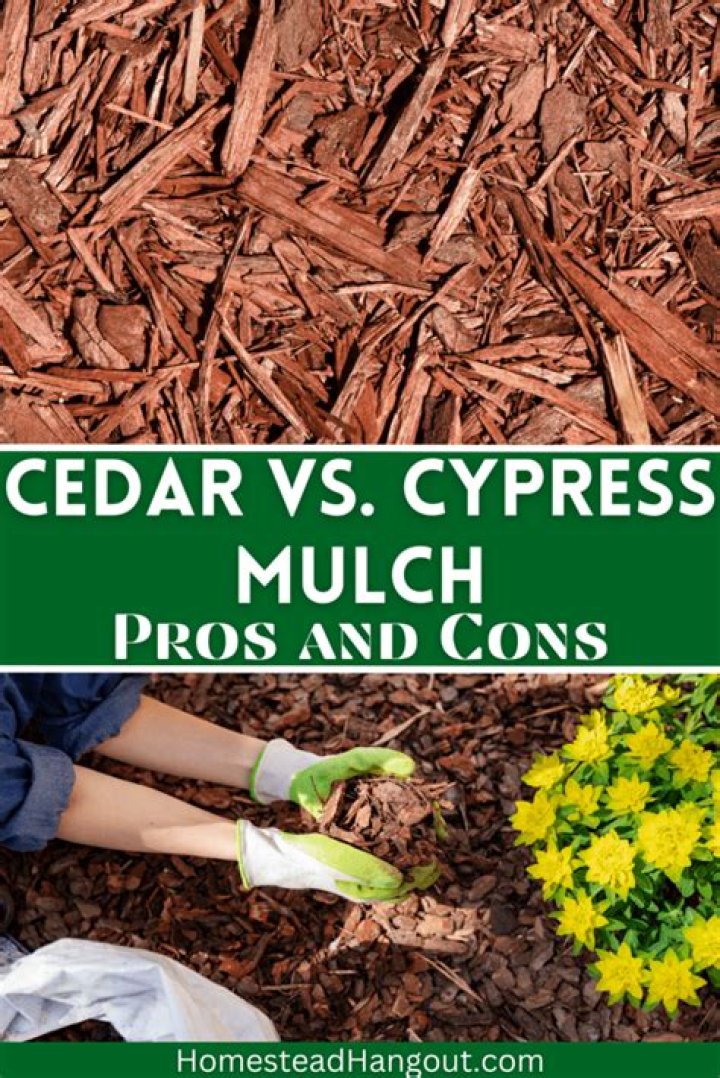 What is cypress mulch good for