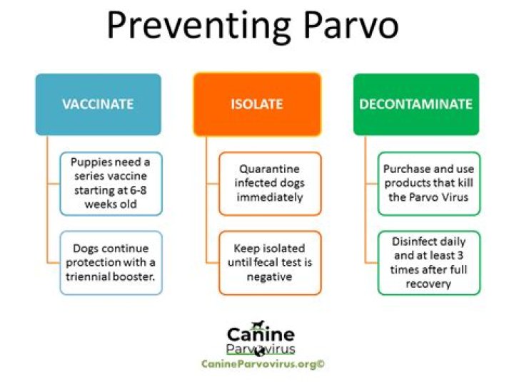 What is DA2P parvo vaccine
