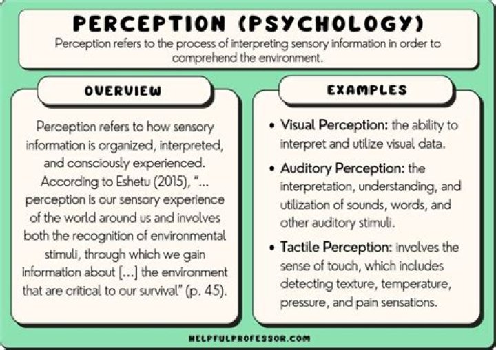 What is described by the concept of perception psychology quizlet